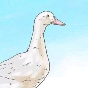 Meet your Posher, Kat